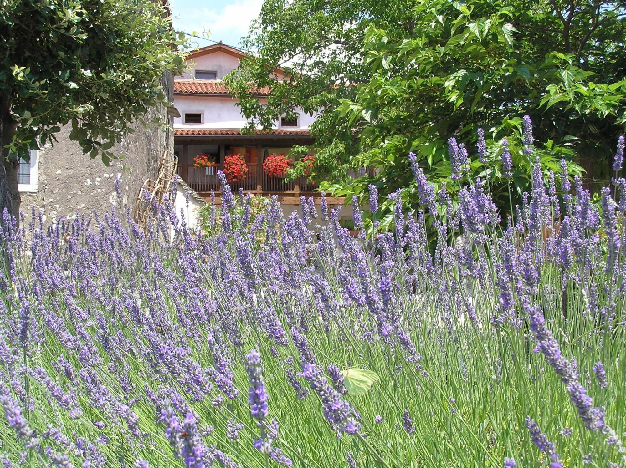Pliskovica Youth Hostel Εξωτερικό φωτογραφία