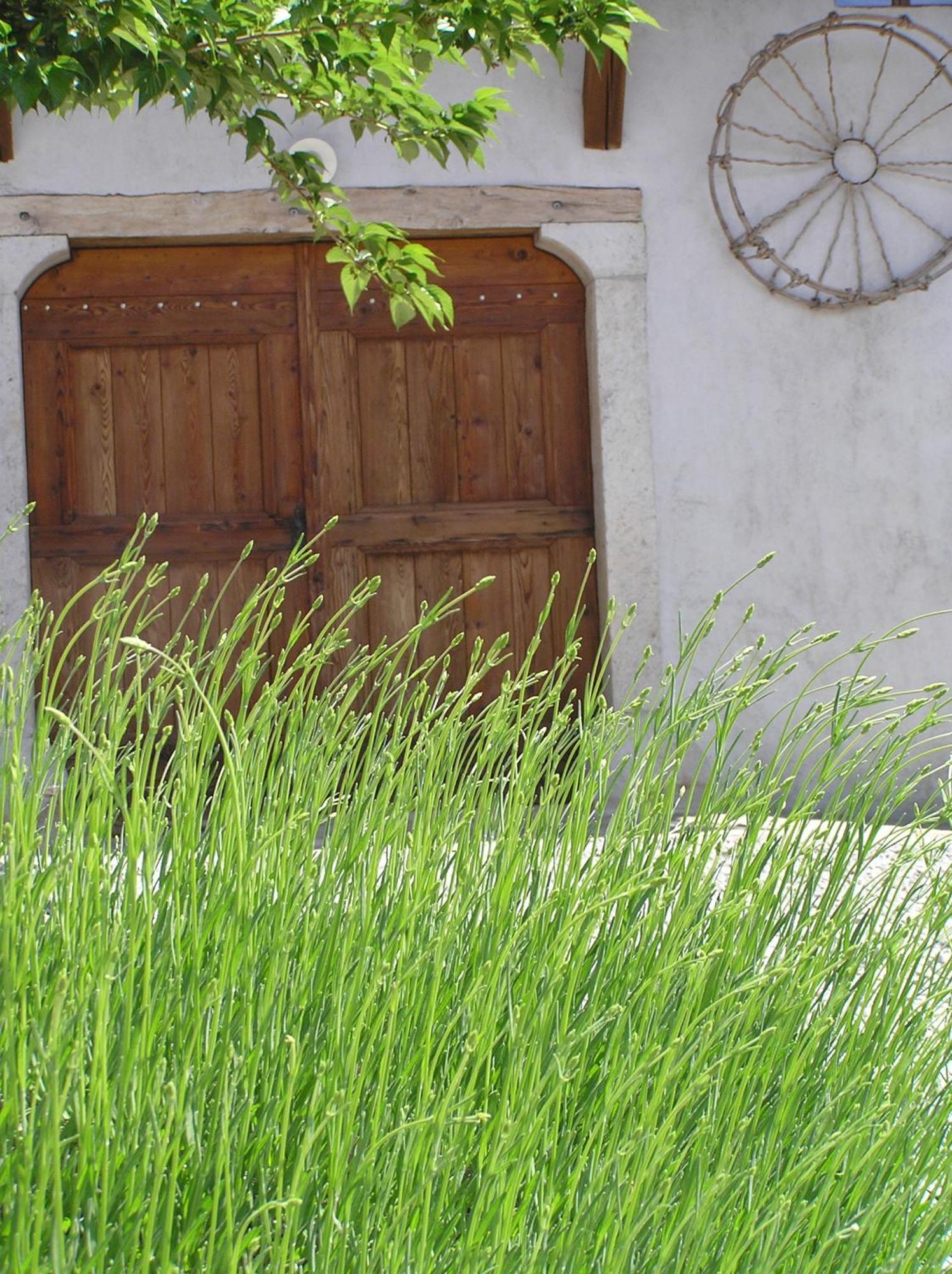 Pliskovica Youth Hostel Εξωτερικό φωτογραφία